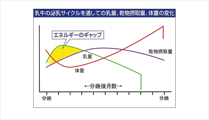 乳牛の泌乳サイクルを通しての乳量、乾物摂取量、体重の変化